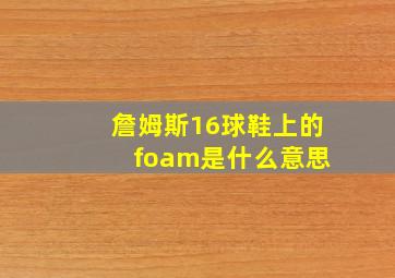 詹姆斯16球鞋上的 foam是什么意思